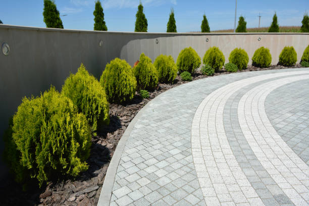 Best Interlocking Driveway Pavers  in Webb City, MO